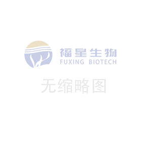 展會預告：第八屆上海國際工業陶瓷展覽會